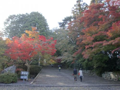 光明寺紅葉.jpg