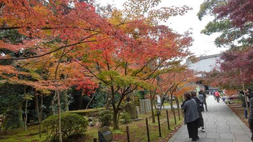 光明寺（本殿前）.jpg