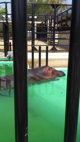 動物園２2.jpg