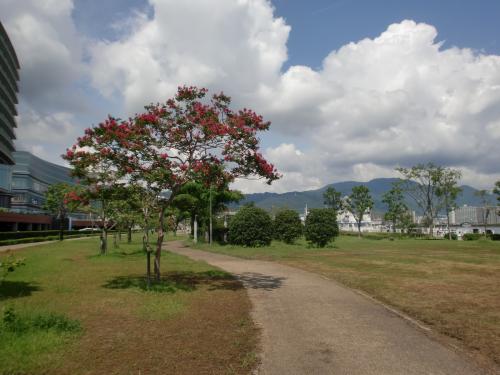 大津湖岸なぎさ公園.jpg