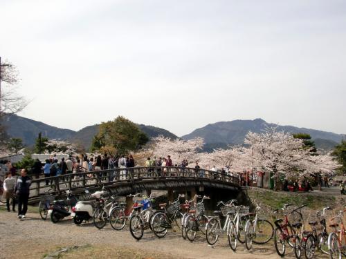 嵐山２０１３０４０１.jpg