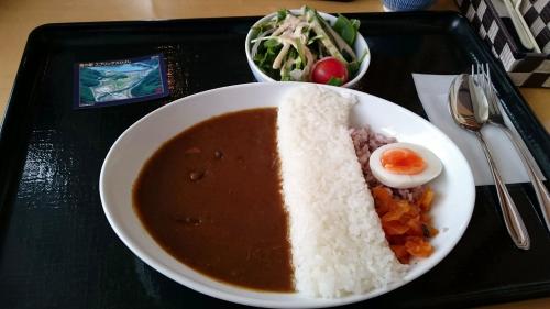 日吉ダムカレー.jpg