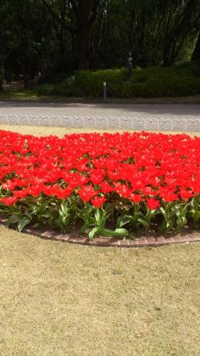 植物園11.jpg