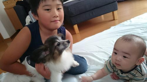 甥っ子と息子と犬と.jpg