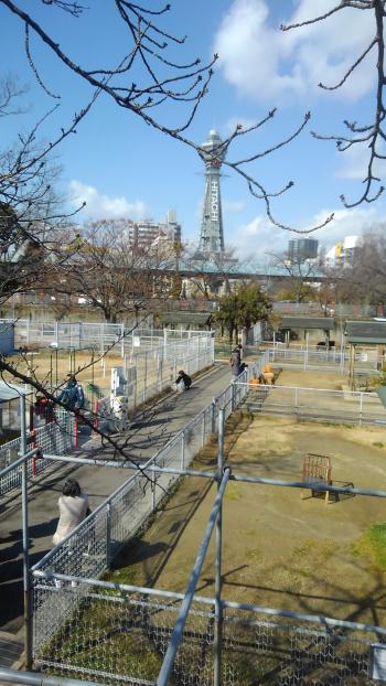 通天閣と天王寺動物園.jpg