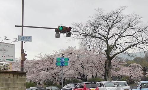 長岡天満宮201704.jpg