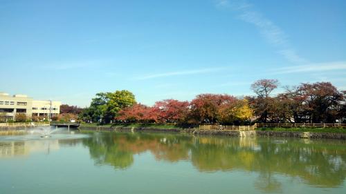 長岡天満宮201711.jpg