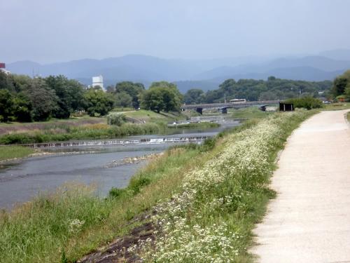 鴨川暑い景色.jpg