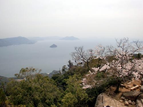 Ｈ26宮島弥山頂上の桜と景色.jpg